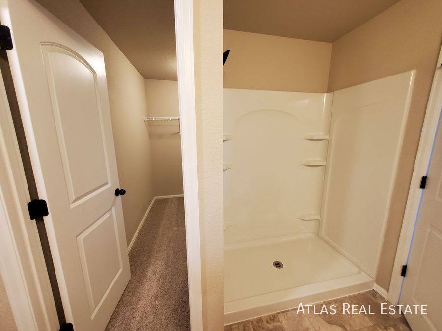 House for rent at 708 Finch Dr, Windsor, CO 80550