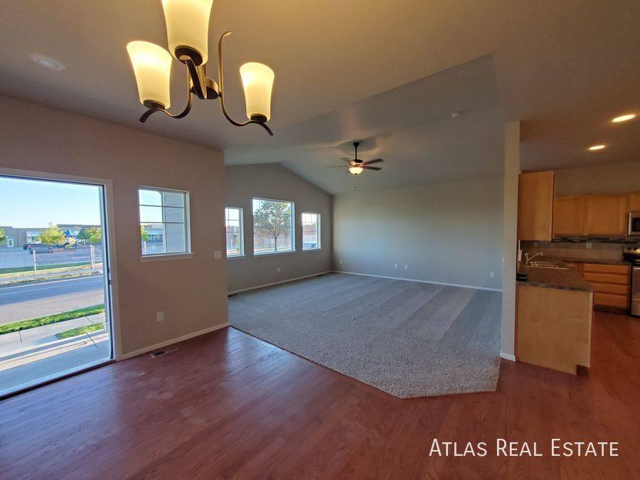 House for rent at 708 Finch Dr, Windsor, CO 80550