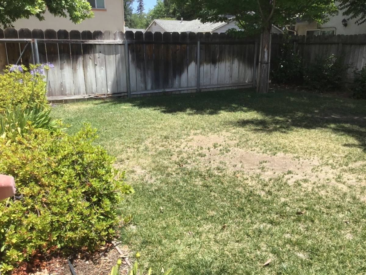 Apartment for rent at 1267 N Cedar St, Chico, CA 95926