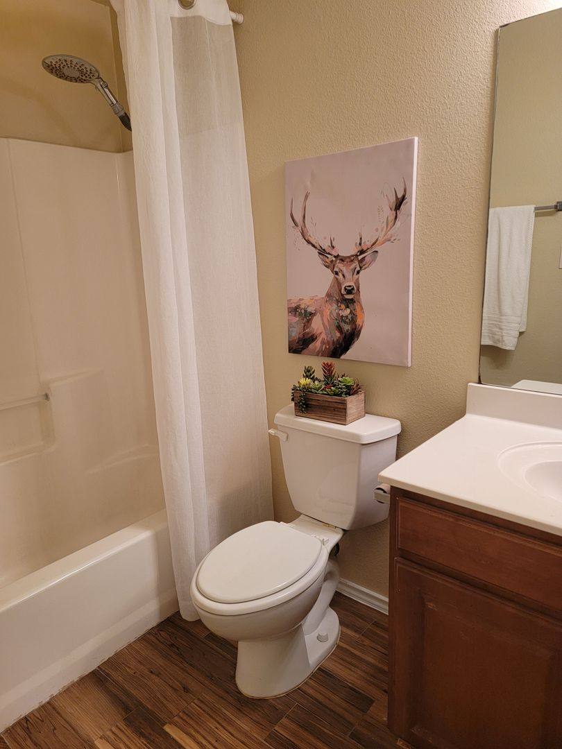 House for rent at 238 Bushtail Dr, New Braunfels, TX 78130