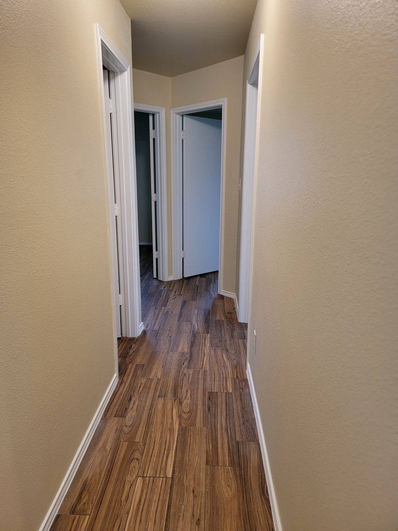 House for rent at 238 Bushtail Dr, New Braunfels, TX 78130