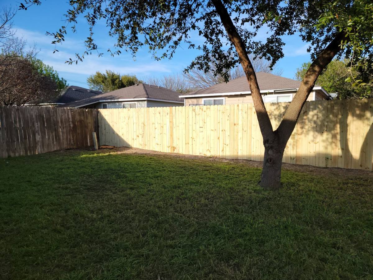 House for rent at 238 Bushtail Dr, New Braunfels, TX 78130