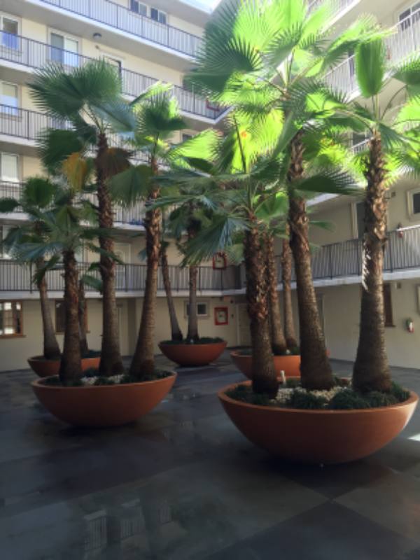 Apartment for rent at 7100 Hillside Ave #208, Los Angeles, CA 90046