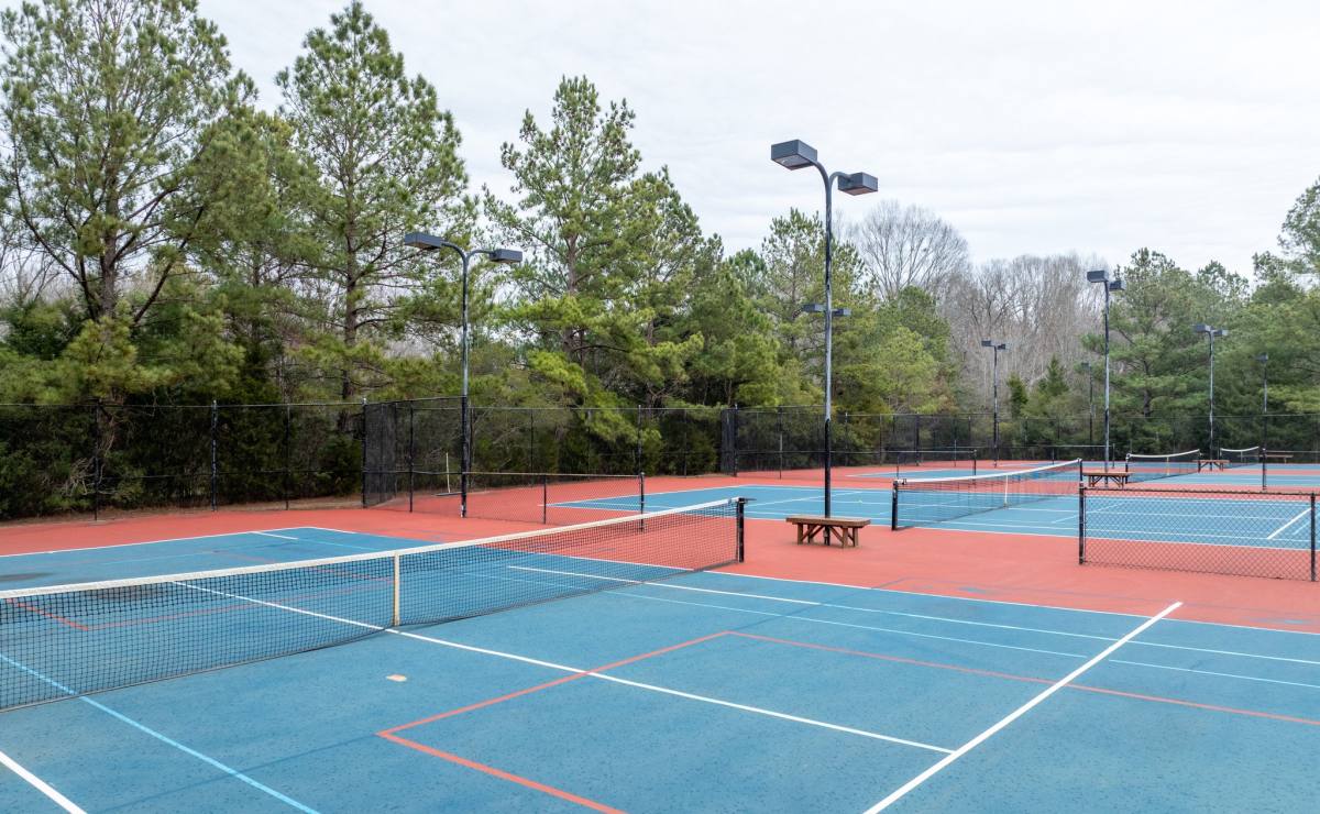 Townhouse for rent at 232 Winding Chestnut Dr, Columbia, SC 29212