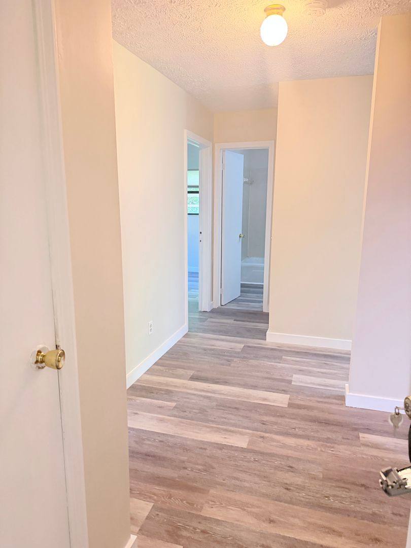 Apartment for rent at 280 Edgewood Rd, Asheville, NC 28804