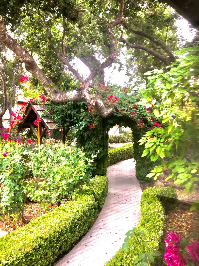 House for rent at 10000 Thacher Rd, Ojai, CA 93023