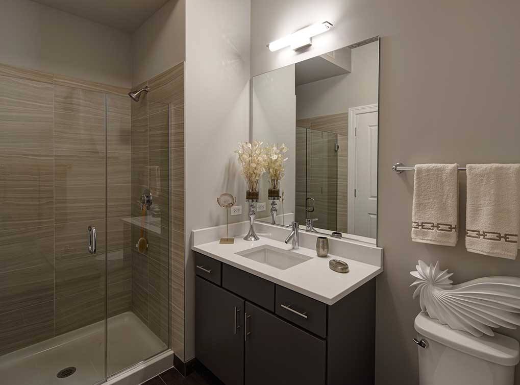 Apartment for rent at 842 S Clark, Chicago, IL 60605