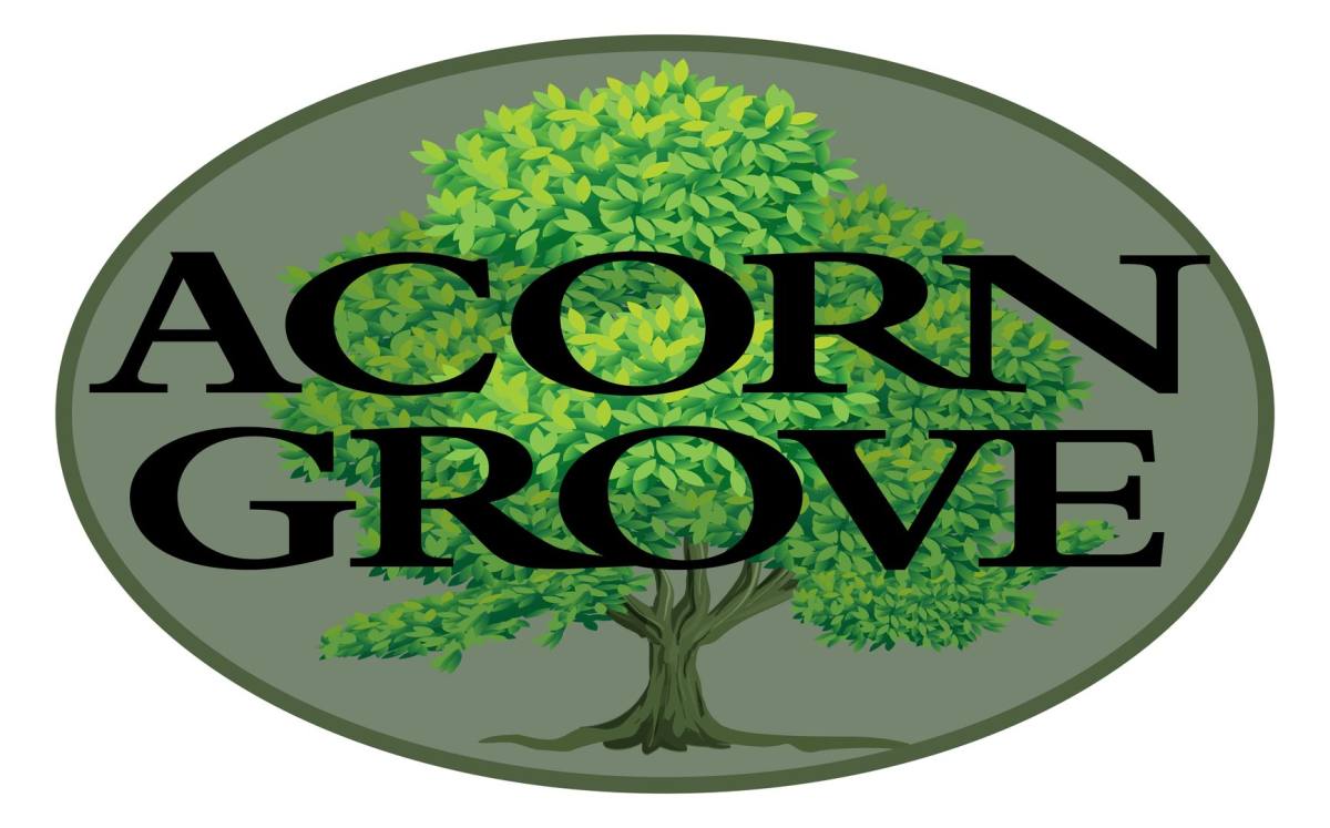 Apartment for rent at 420 Acorn Grove Lane, Chesapeake, VA 23320