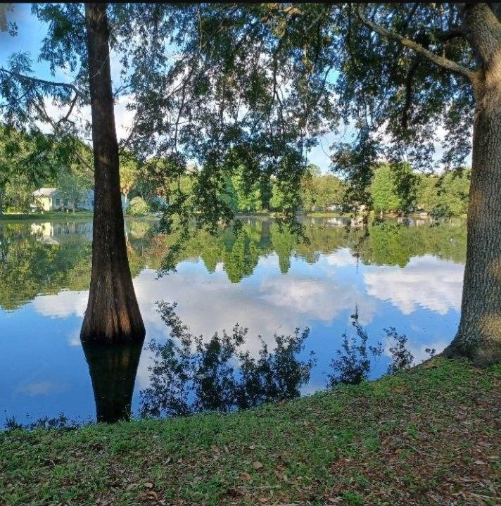 Apartment for rent at 1023 E Comanche Ave #B, Tampa, FL 33604