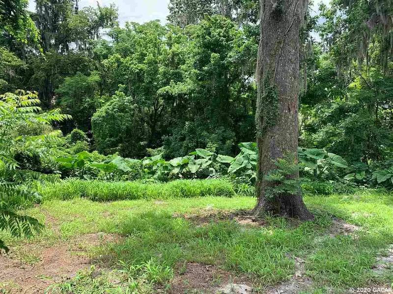House for rent at 929 SW 13th St, Gainesville, FL 32601