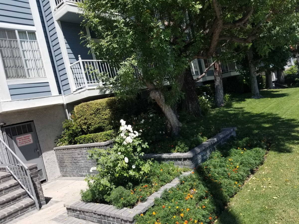 Apartment for rent at 19129 Sherman Way #206, Reseda, CA 91335
