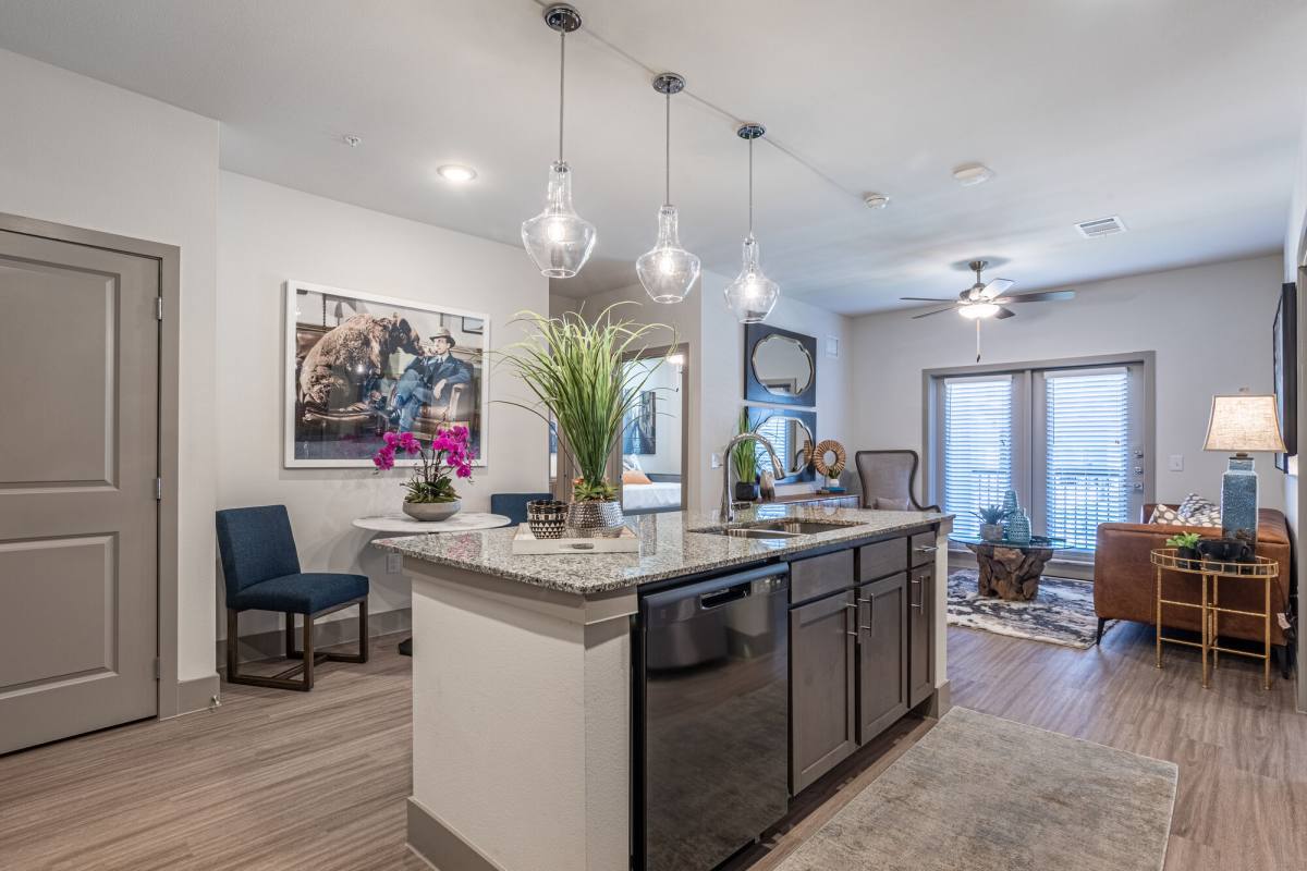 Apartment for rent at Palladium Garland Senior Living, 402 Belt Line Rd, Garland, TX 75040