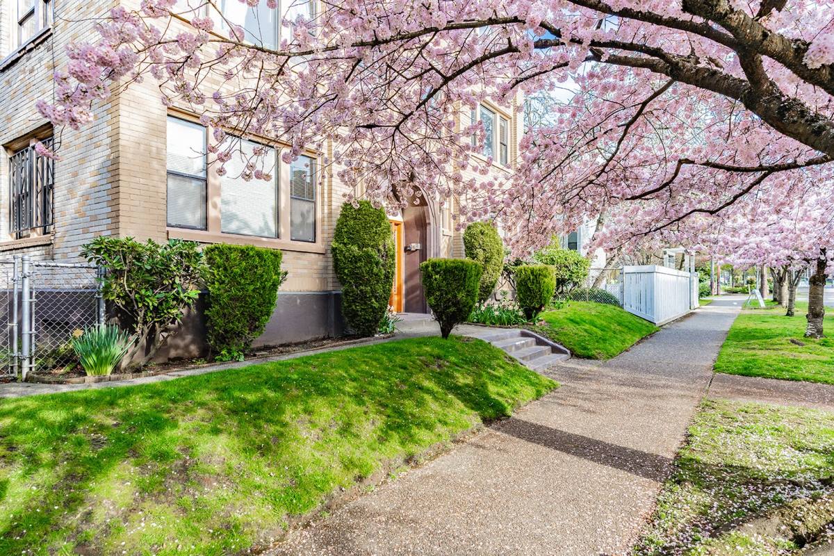 Apartment for rent at 1133 17th Ave, Seattle, WA 98122