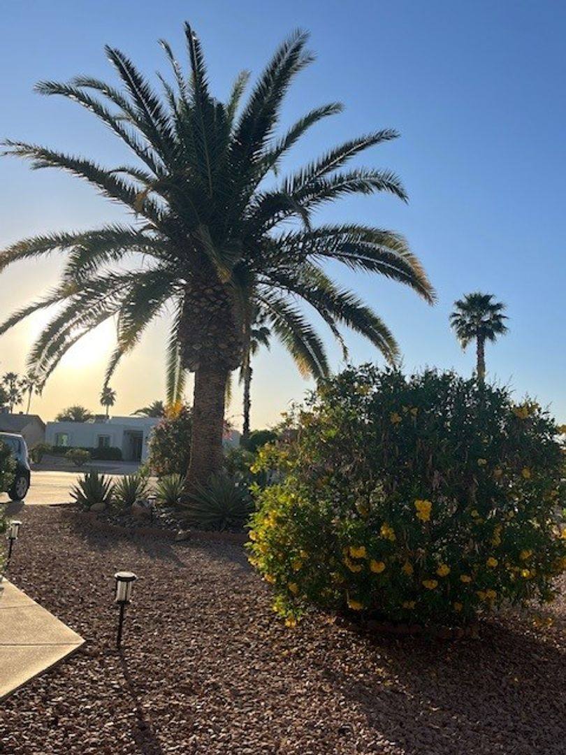 House for rent at 1623 Leisure World, Mesa, AZ 85206