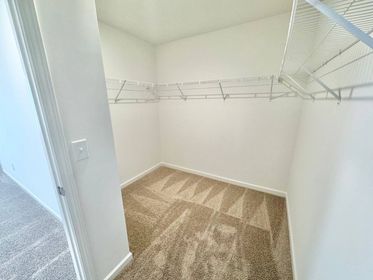 House for rent at 145 Ocelot Lane, China Grove, NC 28023