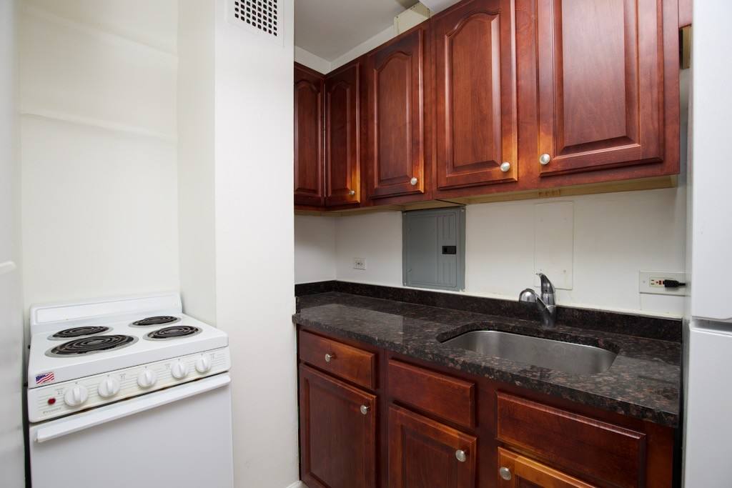 Apartment for rent at 4178 Marine Dr #P1031, Chicago, IL 60613