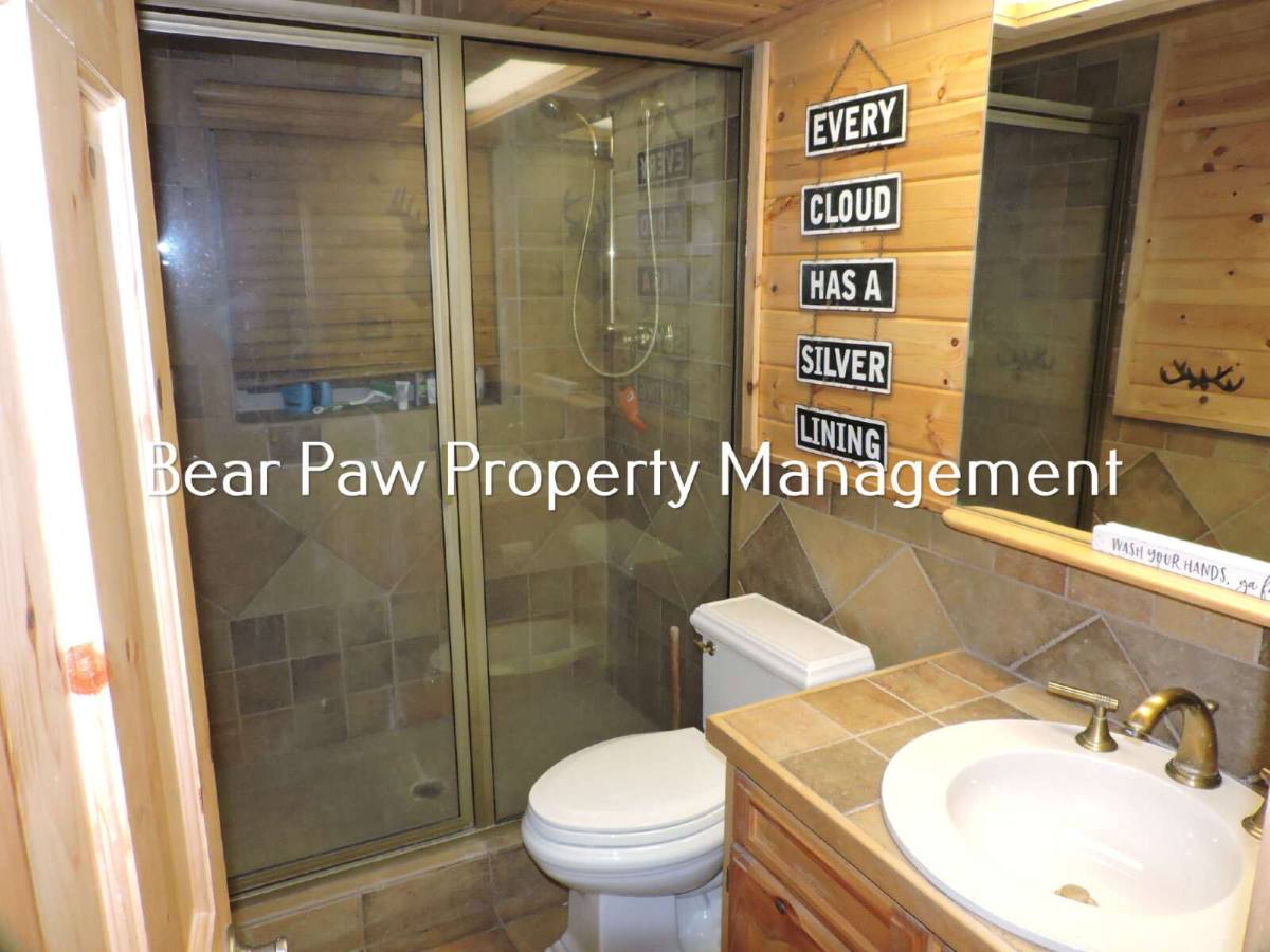 House for rent at 267 N Circle Dr, Bailey, CO 80421