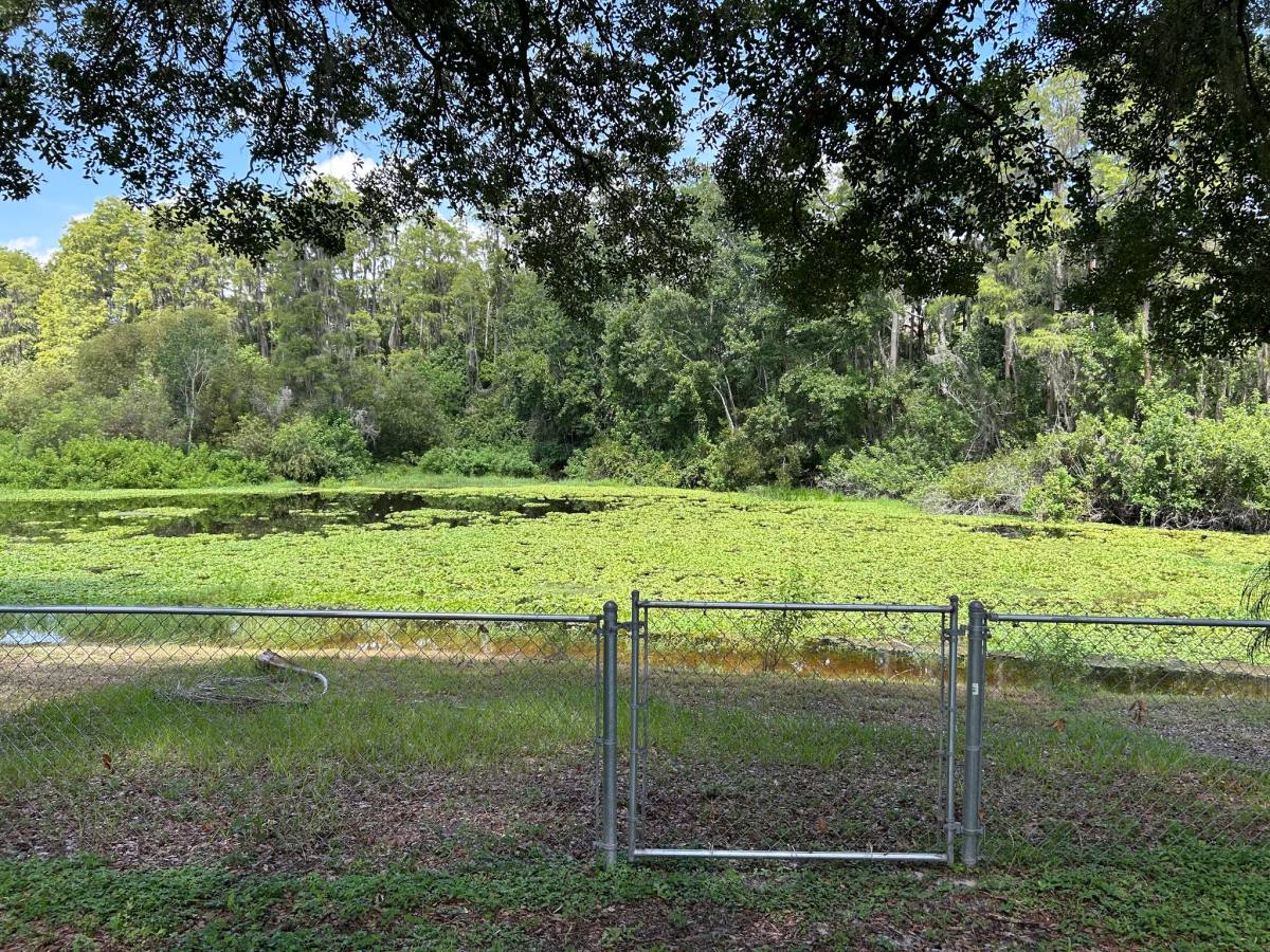House for rent at 4401 Longshore Dr, Land O Lakes, FL 34639