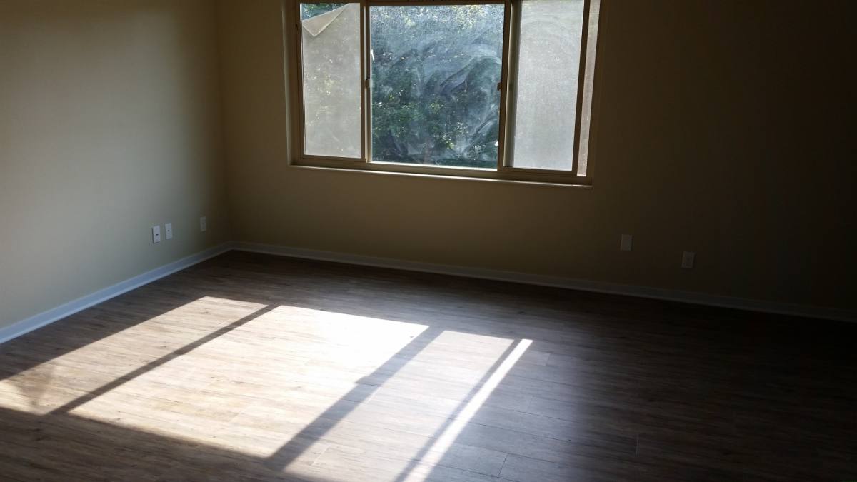 Apartment for rent at 4619 Densmore Ave N, Seattle, WA 98103
