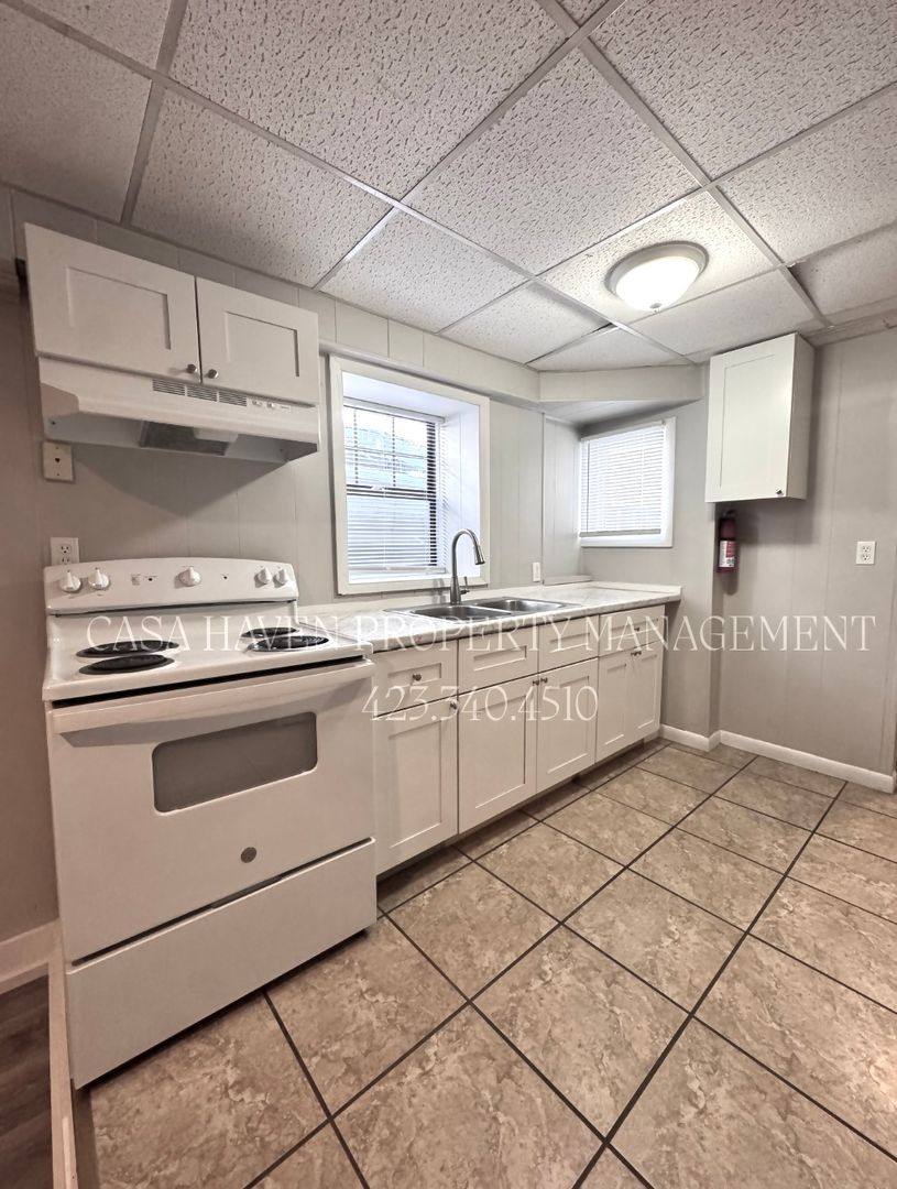 Apartment for rent at 204 E Watauga Ave, Johnson City, TN 37601