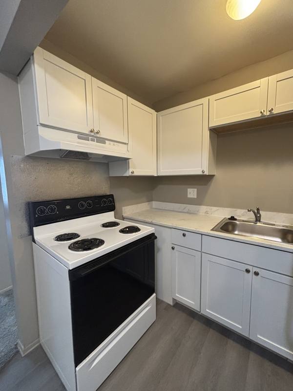 Apartment for rent at 1213 Sycamore #106, Wyandotte, MI 48192