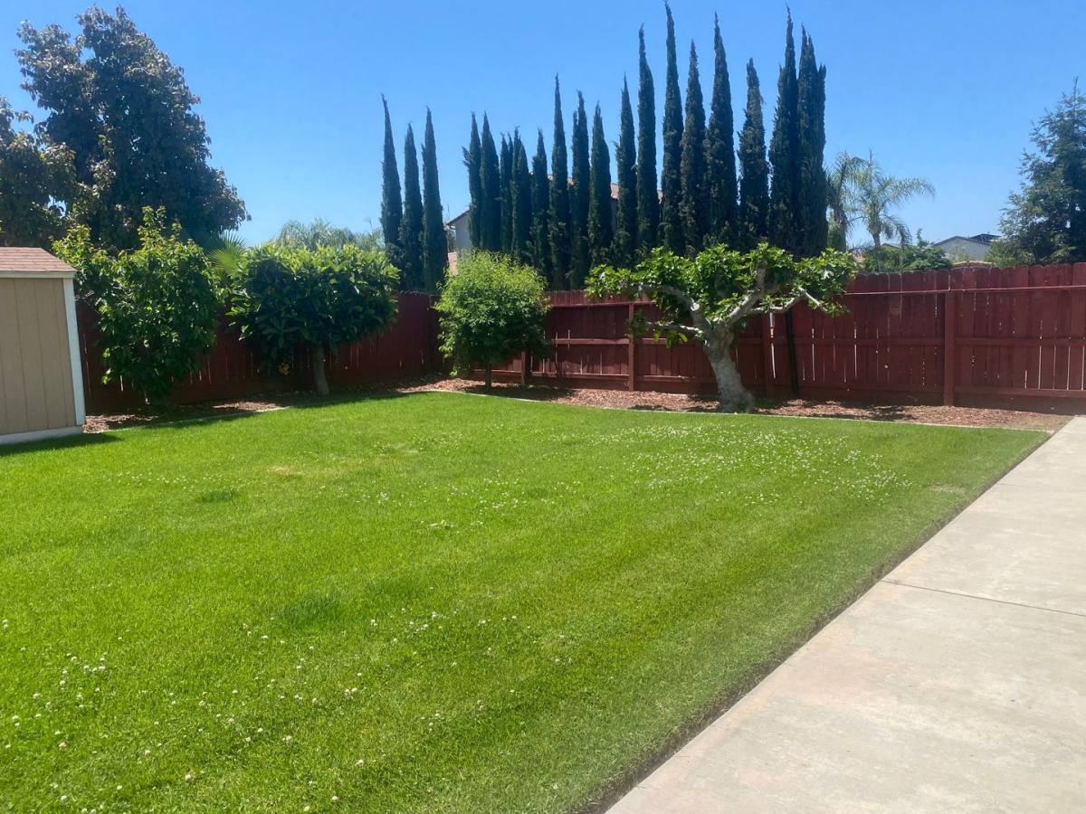 House for rent at 2237 W Wall Court, Porterville, CA 93257