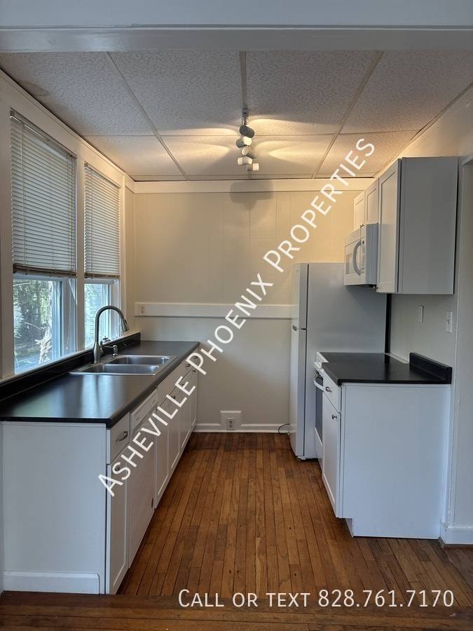 Apartment for rent at 295 E Chestnut St #2, Asheville, NC 28801