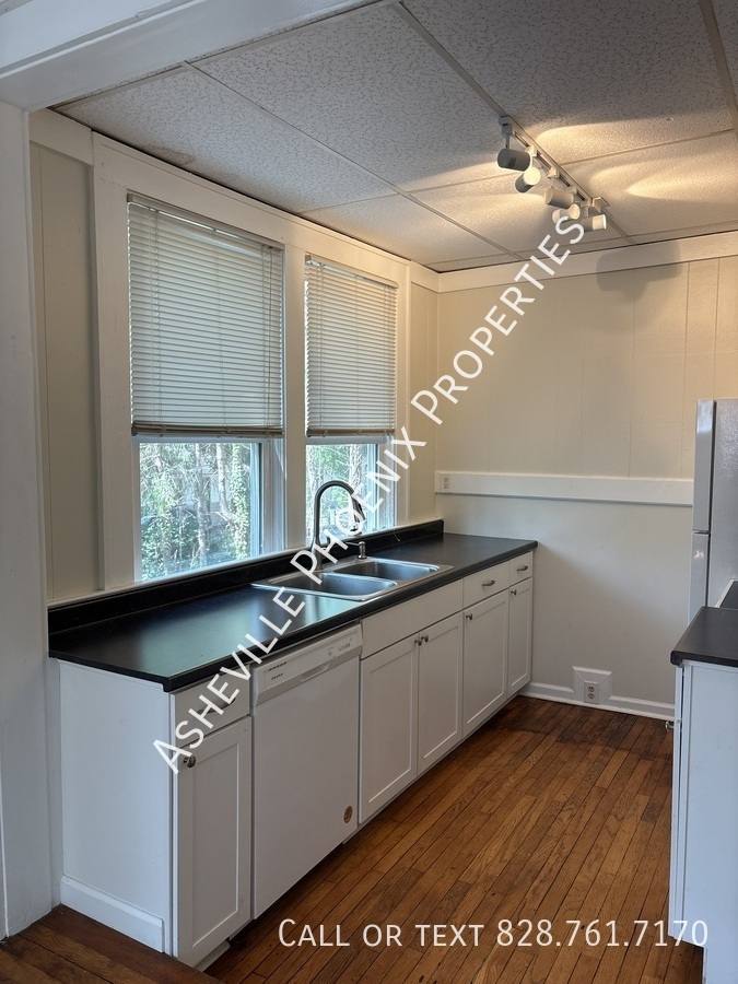 Apartment for rent at 295 E Chestnut St #2, Asheville, NC 28801