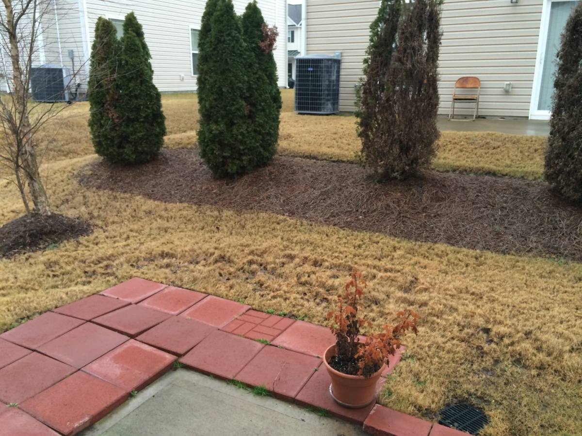 Townhouse for rent at 705-64 Keystone Park Dr #64, Morrisville, NC 27560