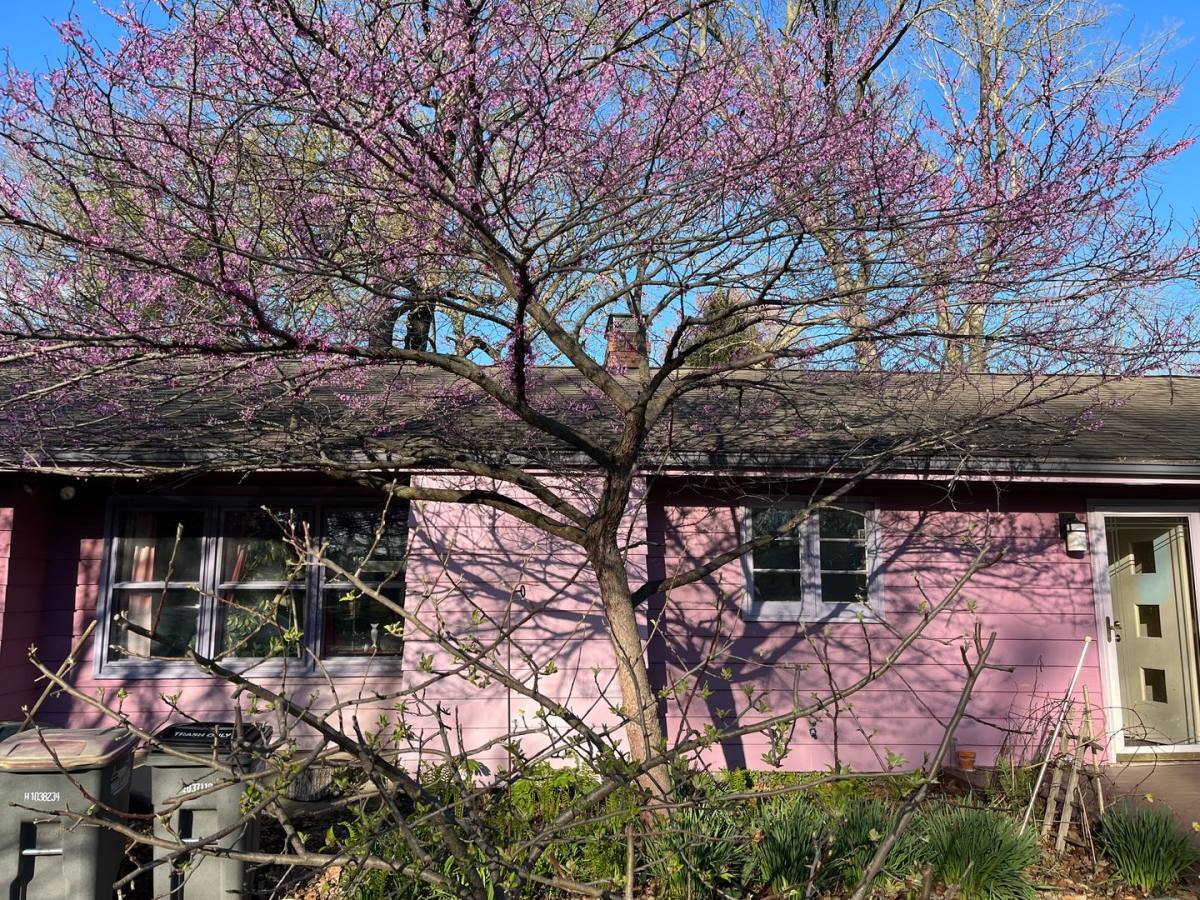 House for rent at 1814 Sheridan Rd, West Lafayette, IN 47906