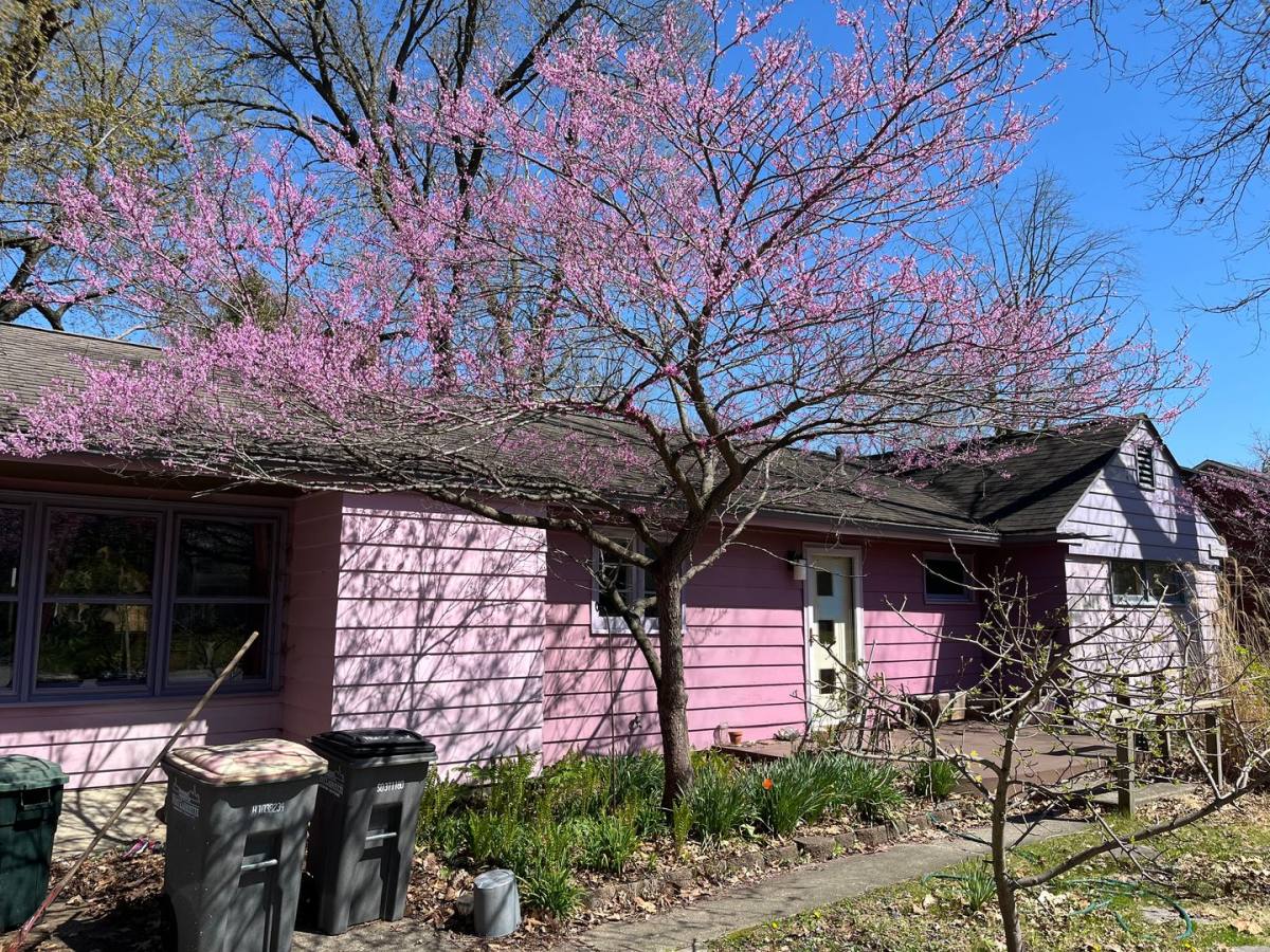 House for rent at 1814 Sheridan Rd, West Lafayette, IN 47906