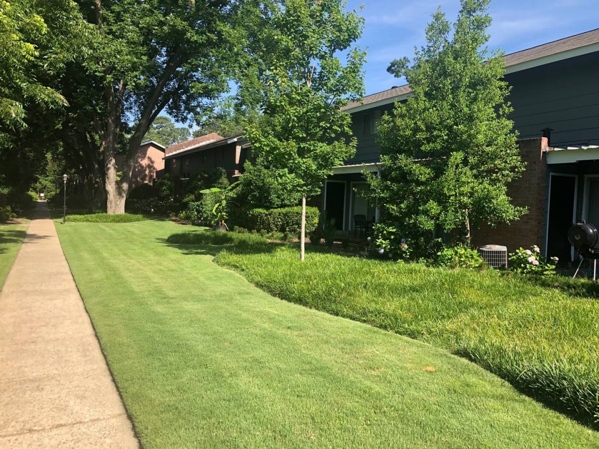 Apartment for rent at 1514 Forest Ave, Columbus, GA 31906
