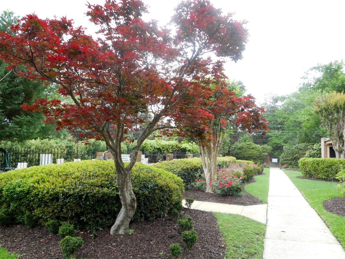 Apartment for rent at 1514 Forest Ave, Columbus, GA 31906