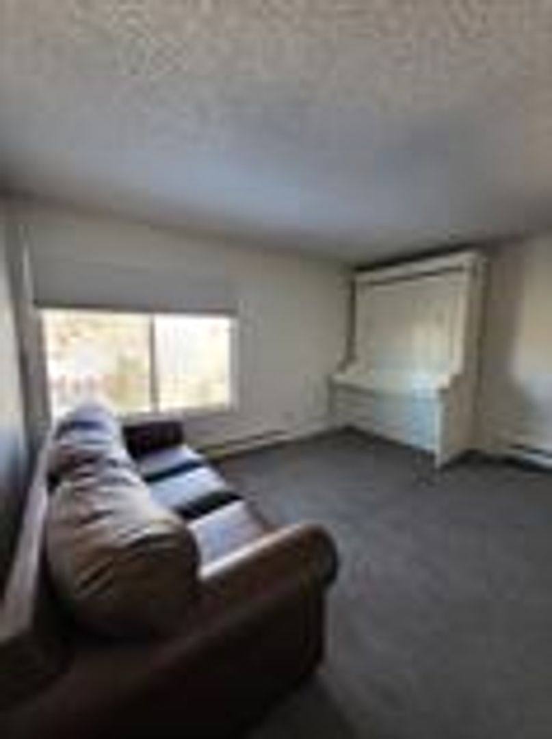 Condo for rent at 110 S Park Ave, Breckenridge, CO 80424