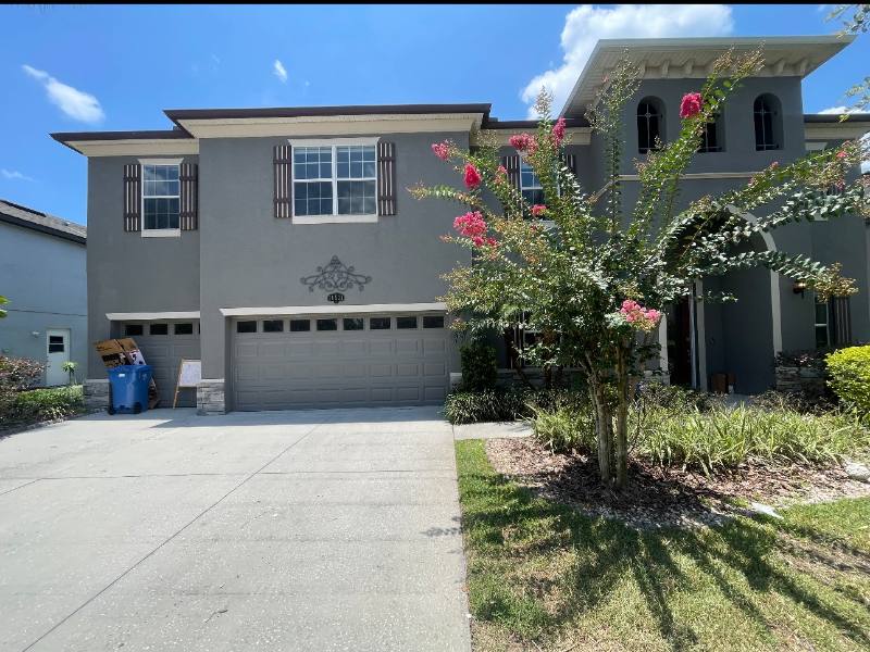 House for rent at 10531 Mistflower Lane, Tampa, FL 33647