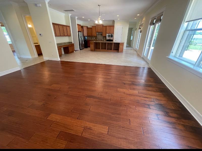 House for rent at 10531 Mistflower Lane, Tampa, FL 33647