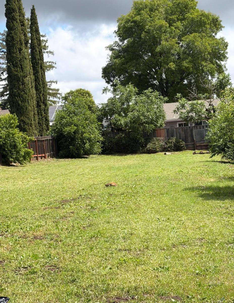 House for rent at 26 Goree Court, Martinez, CA 94553