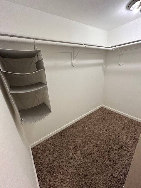 House for rent at 2871 La Salle Ave, Concord, CA 94520