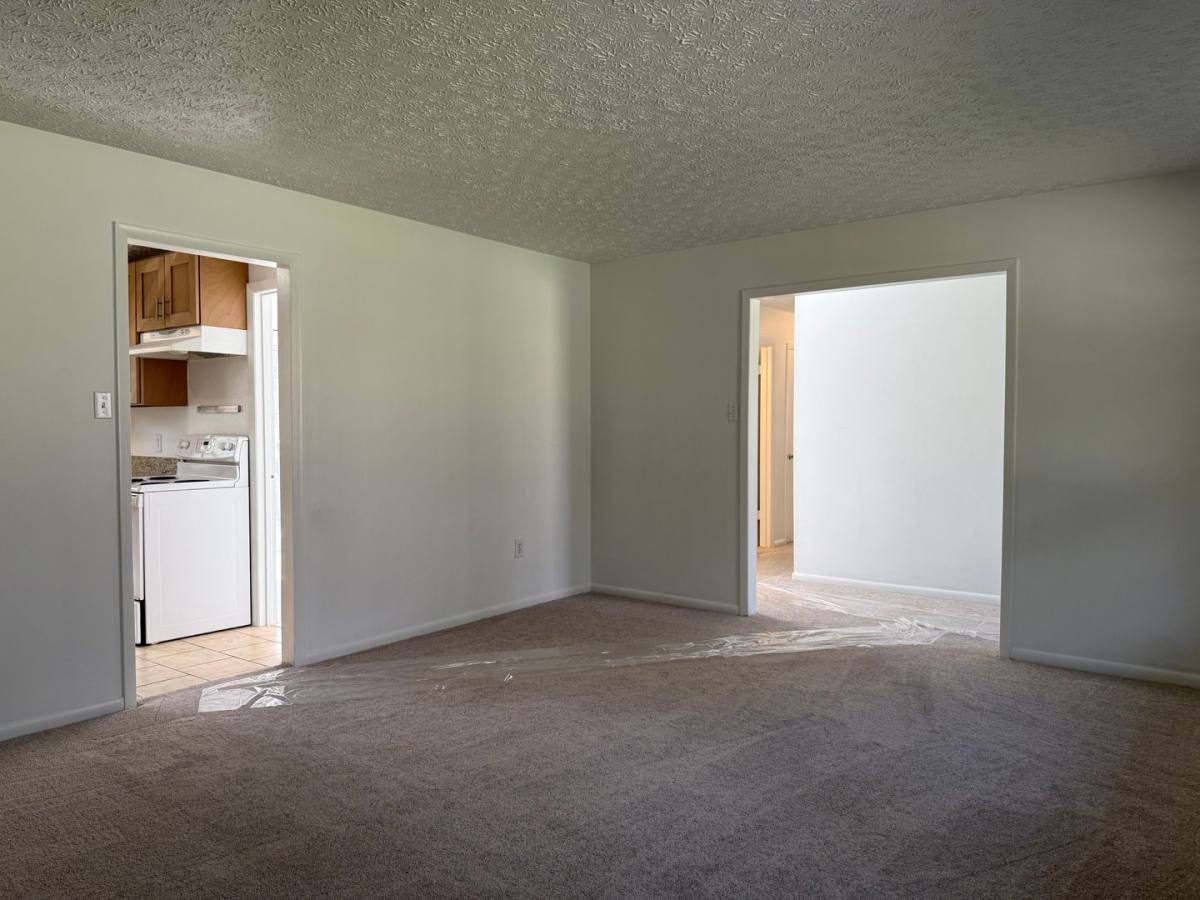 House for rent at 34 Fortune St, Black Mountain, NC 28711