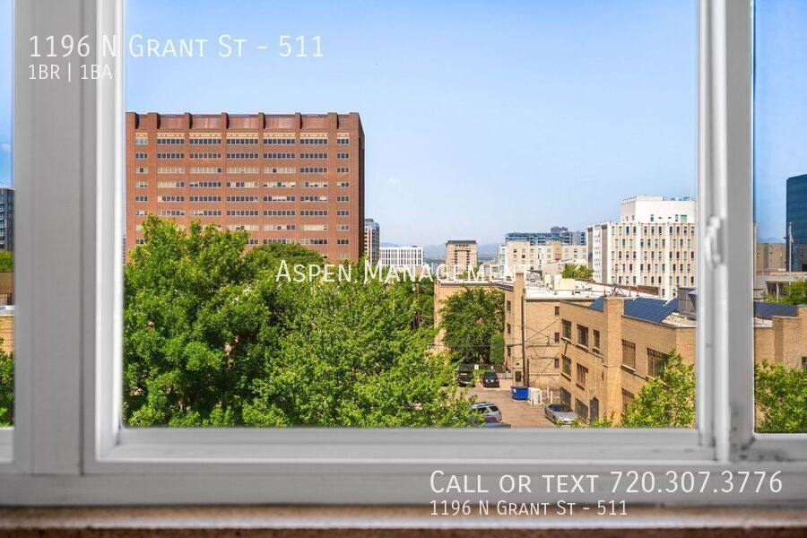 House for rent at 1196 N Grant St #511, Denver, CO 80203