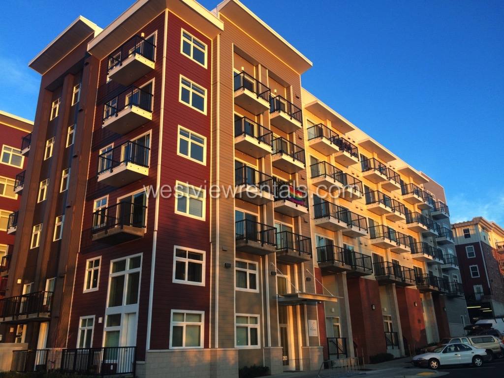 Apartment for rent at 203 E Laurel St #212, Bellingham, WA 98225