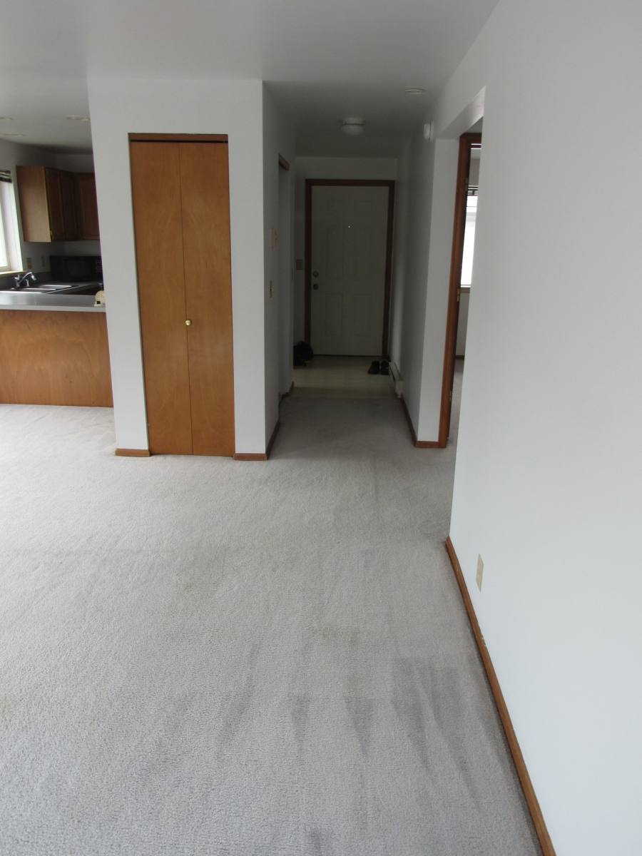 Apartment for rent at 1024 Billy Frank Jr St #301, Bellingham, WA 98225