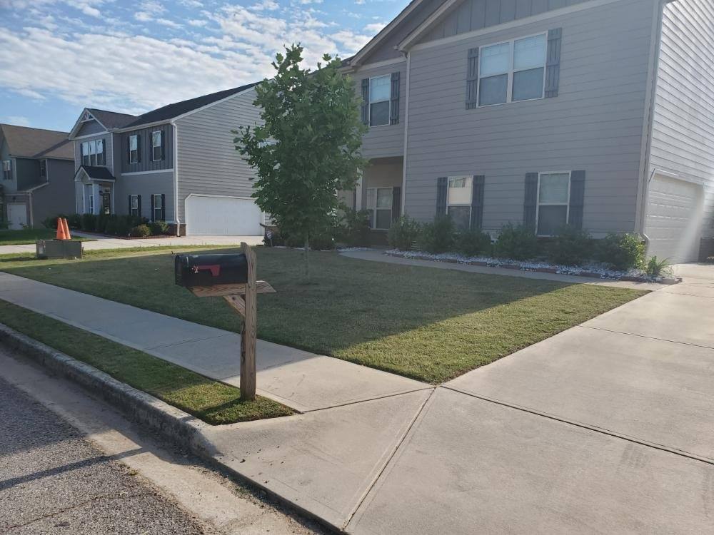 House for rent at 245 Silver Willow Walk, Covington, GA 30016