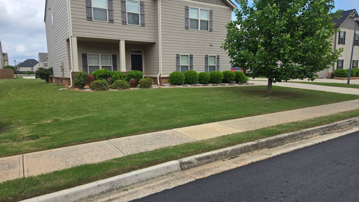 House for rent at 245 Silver Willow Walk, Covington, GA 30016