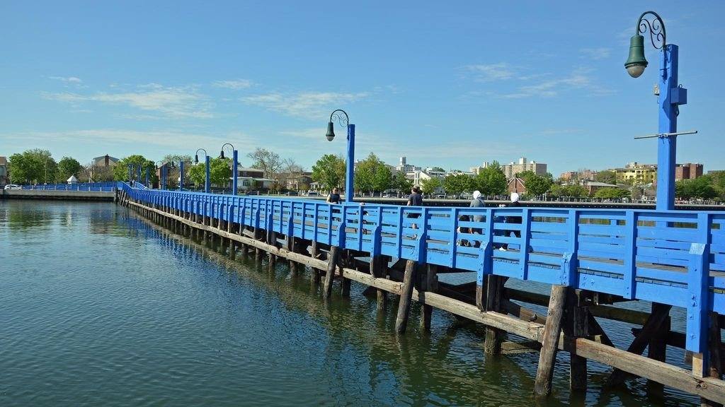 Apartment for rent at 2539 Hubbard St #2, Brooklyn, NY 11235