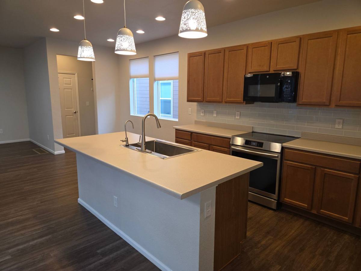 House for rent at 19145 E 66th Ave, Denver, CO 80249