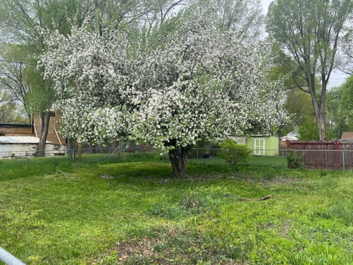House for rent at 479 15th, Ogden, UT 84404
