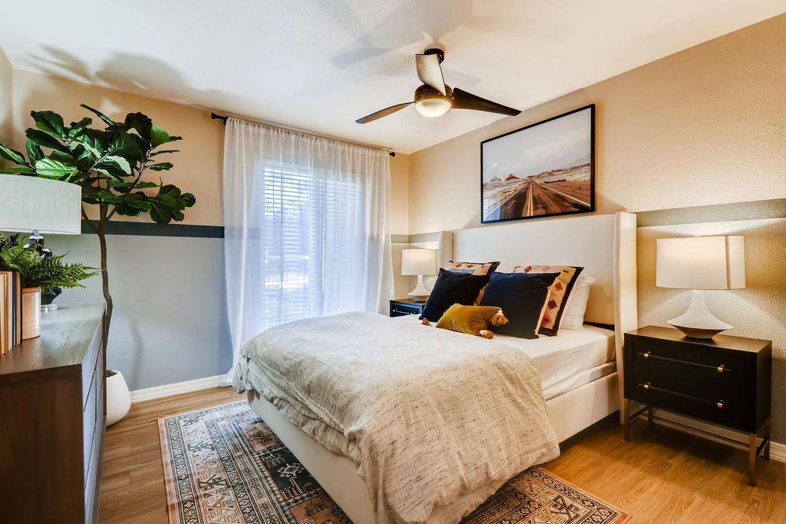 Apartment for rent at College, 2100 N Scottsdale Rd, Tempe, AZ 85281