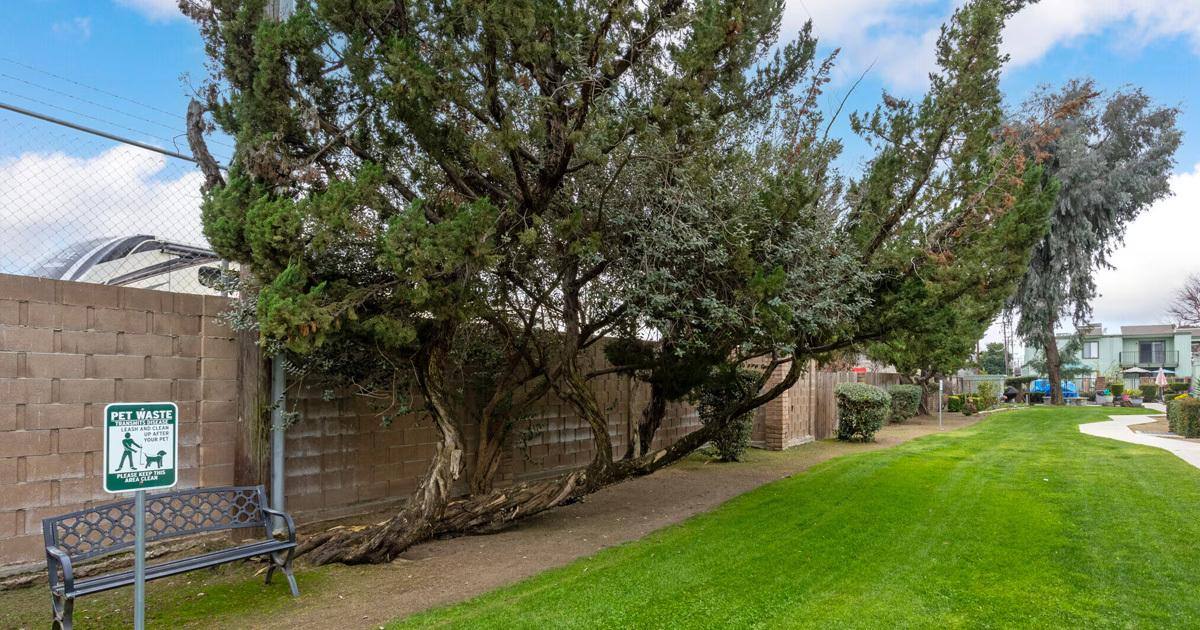 Apartment for rent at 3670 McCall Ave, Selma, CA 93662