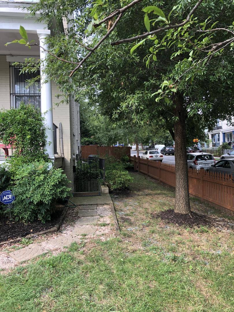 Apartment for rent at Trinidad, 1292 Morse St NE #B, Washington, DC 20002